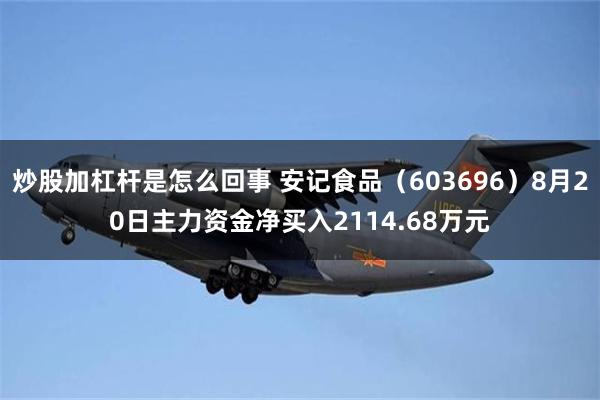 炒股加杠杆是怎么回事 安记食品（603696）8月20日主力资金净买入2114.68万元