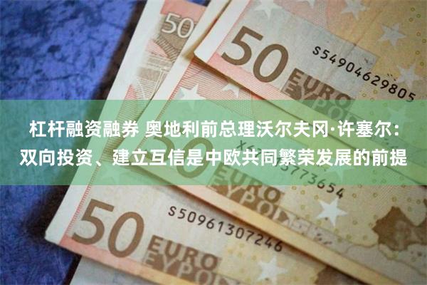 杠杆融资融券 奥地利前总理沃尔夫冈·许塞尔：双向投资、建立互信是中欧共同繁荣发展的前提